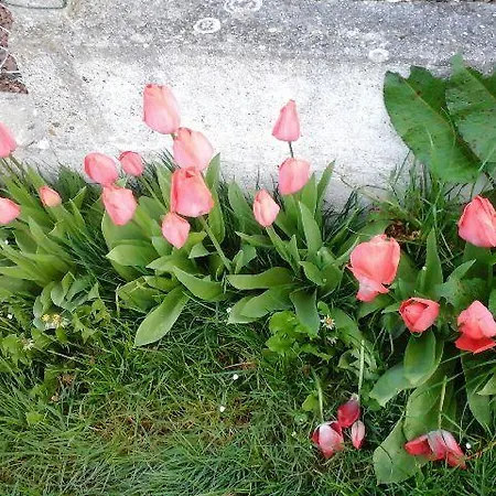 Semesterbostad La Crielloise Criel-sur-Mer