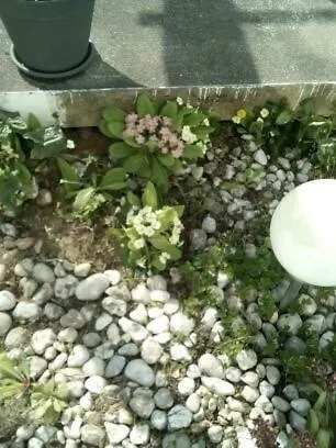 Casa vacanze La Crielloise *